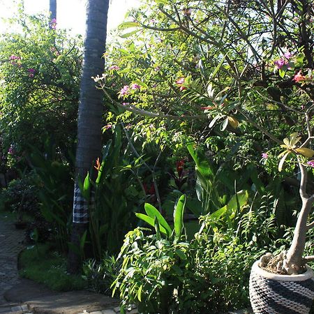 Cleopatra Beach Bungalows Hotel Lovina Esterno foto