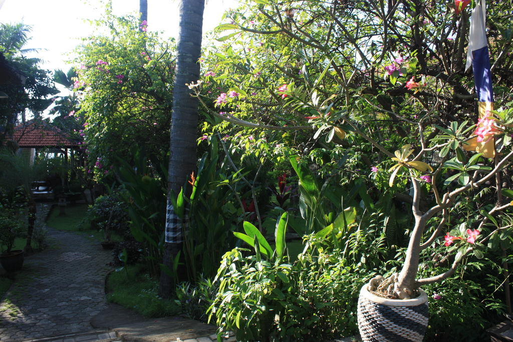 Cleopatra Beach Bungalows Hotel Lovina Esterno foto