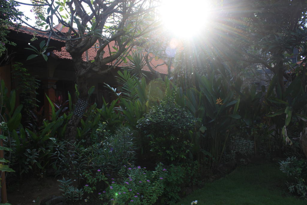 Cleopatra Beach Bungalows Hotel Lovina Esterno foto