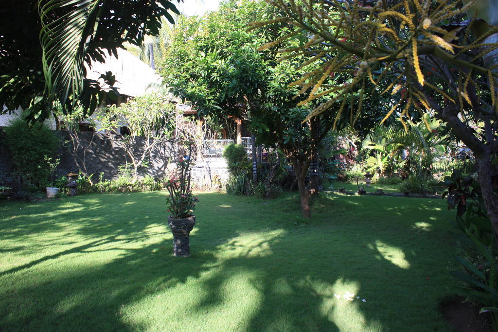 Cleopatra Beach Bungalows Hotel Lovina Camera foto